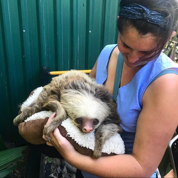 Meet your Posher, Susannah - Picture 1 of 1